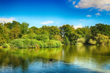Wroclaw, Polonya - 07 Ağustos 2017: Wroclaw South Park'ta şehrin güneyinde yoktan 1877 yılında yaptırılmıştır. Hugo Richter ve Ferdinand Cohn çayırlar ve büyük bir su birikintisi bir park yaratmıştı.