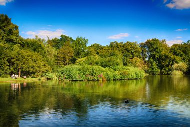 Wroclaw, Polonya - 07 Ağustos 2017: Wroclaw South Park'ta şehrin güneyinde yoktan 1877 yılında yaptırılmıştır. Hugo Richter ve Ferdinand Cohn çayırlar ve büyük bir su birikintisi bir park yaratmıştı.