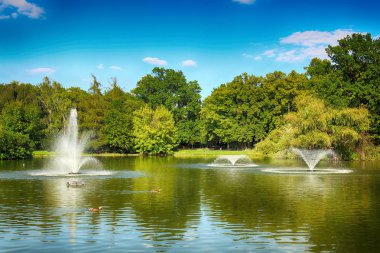 Wroclaw, Polonya - 07 Ağustos 2017: Wroclaw South Park'ta şehrin güneyinde yoktan 1877 yılında yaptırılmıştır. Hugo Richter ve Ferdinand Cohn çayırlar ve büyük bir su birikintisi bir park yaratmıştı.
