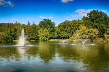 Wroclaw, Polonya - 07 Ağustos 2017: Wroclaw South Park'ta şehrin güneyinde yoktan 1877 yılında yaptırılmıştır. Hugo Richter ve Ferdinand Cohn çayırlar ve büyük bir su birikintisi bir park yaratmıştı.