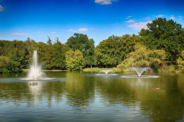 Wroclaw, Polonya - 07 Ağustos 2017: Wroclaw South Park'ta şehrin güneyinde yoktan 1877 yılında yaptırılmıştır. Hugo Richter ve Ferdinand Cohn çayırlar ve büyük bir su birikintisi bir park yaratmıştı.