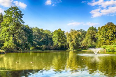Wroclaw, Polonya - 07 Ağustos 2017: Wroclaw South Park'ta şehrin güneyinde yoktan 1877 yılında yaptırılmıştır. Hugo Richter ve Ferdinand Cohn çayırlar ve büyük bir su birikintisi bir park yaratmıştı.