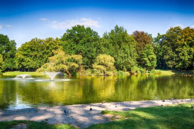 Wroclaw, Polonya - 07 Ağustos 2017: Wroclaw South Park'ta şehrin güneyinde yoktan 1877 yılında yaptırılmıştır. Hugo Richter ve Ferdinand Cohn çayırlar ve büyük bir su birikintisi bir park yaratmıştı.