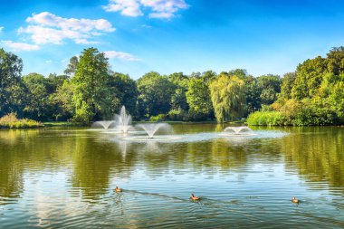 Wroclaw, Polonya - 07 Ağustos 2017: Wroclaw South Park'ta şehrin güneyinde yoktan 1877 yılında yaptırılmıştır. Hugo Richter ve Ferdinand Cohn çayırlar ve büyük bir su birikintisi bir park yaratmıştı.