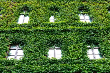 Wroclaw, Polonya - 14 Ağustos 2017: Wroclaw Old Town. Wroclaw Ulusal Müzesi mimar Karl Friedrich Endell tarafından tasarlanmış ve 1883-1886 yılında inşa edilen binada yer.