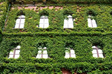 Wroclaw, Polonya - 14 Ağustos 2017: Wroclaw Old Town. Wroclaw Ulusal Müzesi mimar Karl Friedrich Endell tarafından tasarlanmış ve 1883-1886 yılında inşa edilen binada yer.