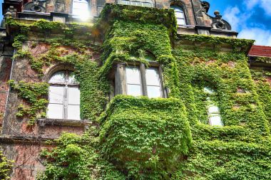 Wroclaw, Polonya - 14 Ağustos 2017: Wroclaw Old Town. Wroclaw Ulusal Müzesi mimar Karl Friedrich Endell tarafından tasarlanmış ve 1883-1886 yılında inşa edilen binada yer.