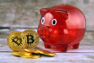 Bitcoin (sanal para) ve kumbara fiziksel sürümü. Dünya çapında cryptocurrency ve ilk olarak adlandırılan dijital ödeme sistemi için kavramsal görüntü dijital para merkezi olmayan.