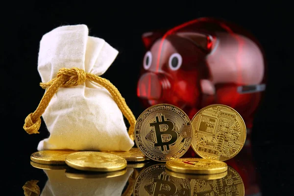 Bitcoin (sanal para) ve kumbara fiziksel sürümü. Dünya çapında cryptocurrency ve ilk olarak adlandırılan dijital ödeme sistemi için kavramsal görüntü dijital para merkezi olmayan.