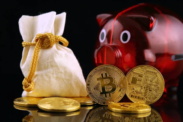 Bitcoin (sanal para) ve kumbara fiziksel sürümü. Dünya çapında cryptocurrency ve ilk olarak adlandırılan dijital ödeme sistemi için kavramsal görüntü dijital para merkezi olmayan.