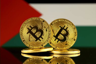 Bitcoin ve Filistin bayrağı fiziksel sürümü. Yakın çekim.