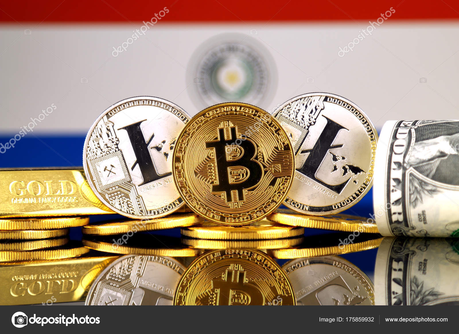 bitcoin miner rental