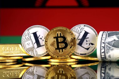 Bitcoin, Litecoin, altın, bize dolar ve Malavi bayrak fiziksel sürümü. Cryptocurrency, altın ve dolar yatırımcılar için kavramsal görüntü.