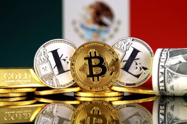 Bitcoin, Litecoin, altın, bize dolar ve Meksika bayrağı fiziksel sürümü. Cryptocurrency, altın ve dolar yatırımcılar için kavramsal görüntü.