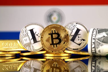 Bitcoin, Litecoin, altın, bize dolar ve Paraguay bayrak fiziksel sürümü. Cryptocurrency, altın ve dolar yatırımcılar için kavramsal görüntü.