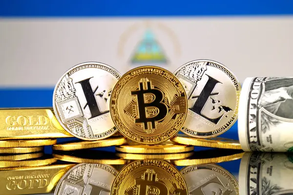 Versión Física Bitcoin Litecoin Oro Dólar Estadounidense Bandera Nicaragua Imagen — Foto de Stock