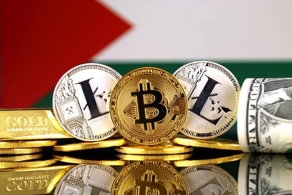 Physical Version Bitcoin Litecoin Gold Dollar Palestine Flag Conceptual Image — Stock Photo, Image