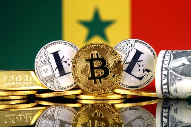 Bitcoin, Litecoin, altın, bize dolar ve Senegal bayrak fiziksel sürümü. Cryptocurrency, altın ve dolar yatırımcılar için kavramsal görüntü.