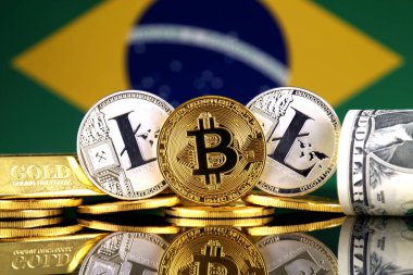 Bitcoin, Litecoin, altın, bize dolar ve Brezilya bayrağı fiziksel sürümü. Cryptocurrency, altın ve dolar yatırımcılar için kavramsal görüntü.