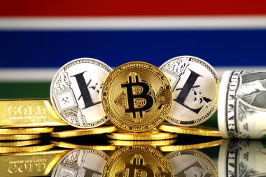 Bitcoin, Litecoin, altın, bize dolar ve Gambiya bayrak fiziksel sürümü. Cryptocurrency, altın ve dolar yatırımcılar için kavramsal görüntü.