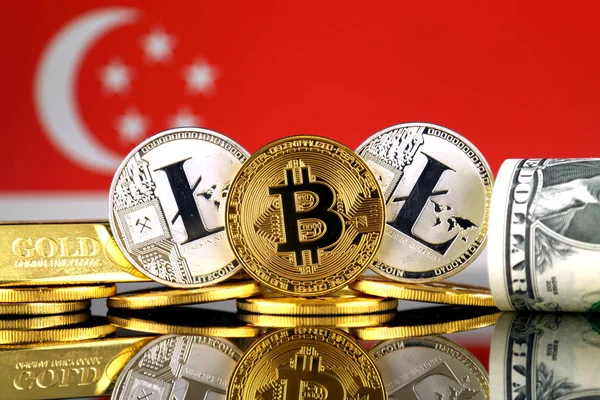 Физическая Версия Bitcoin Litecoin Золота Доллара Сша Флага Сингапура Концептуальный — стоковое фото