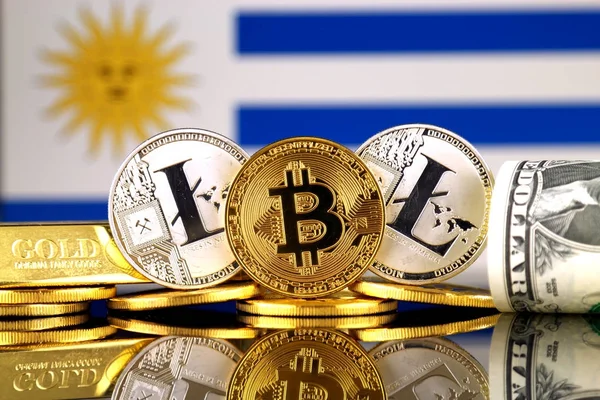 Bitcoin Litecoin 私たちドルとウルグアイの旗の物理的なバージョン Cryptocurrency 金とドルの投資家のための概念図 — ストック写真