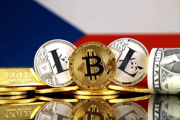 Fizikai Változata Bitcoin Litecoin Arany Usa Dollár Cseh Köztársaság Lobogója — Stock Fotó