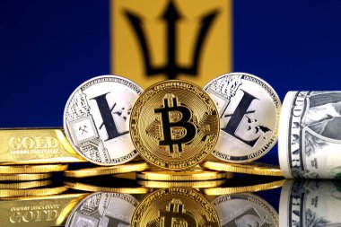 Bitcoin, Litecoin, altın, bize dolar ve Barbados bayrağı fiziksel sürümü. Cryptocurrency, altın ve dolar yatırımcılar için kavramsal görüntü.