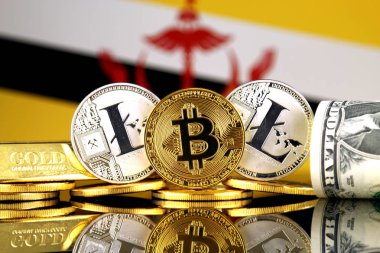Bitcoin, Litecoin, altın, bize dolar ve Brunei bayrağı fiziksel sürümü. Cryptocurrency, altın ve dolar yatırımcılar için kavramsal görüntü.