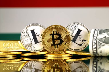 Bitcoin, Litecoin, altın, bize dolar ve Macaristan bayrağı fiziksel sürümü. Cryptocurrency, altın ve dolar yatırımcılar için kavramsal görüntü.