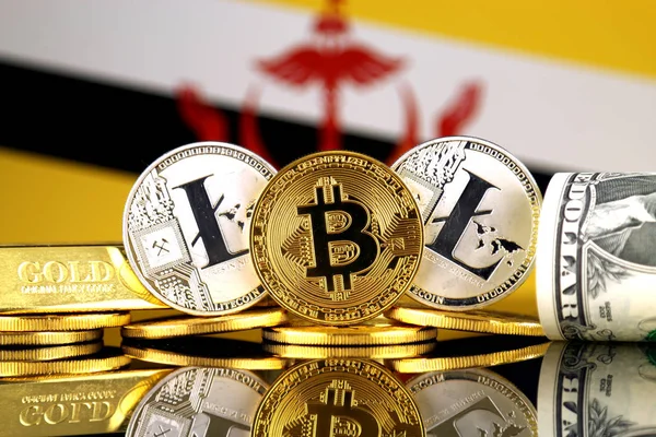 Physical version of Bitcoin, Litecoin, gold, US Dollar and Brunei Flag. Conceptual image for investors in cryptocurrency, gold and dollars.