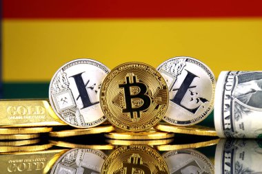 Bitcoin, Litecoin, altın, bize dolar ve Bolivya bayrak fiziksel sürümü. Cryptocurrency, altın ve dolar yatırımcılar için kavramsal görüntü.