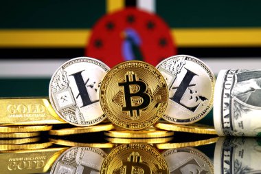 Bitcoin, Litecoin, altın, bize dolar ve Dominika bayrak fiziksel sürümü. Cryptocurrency, altın ve dolar yatırımcılar için kavramsal görüntü.