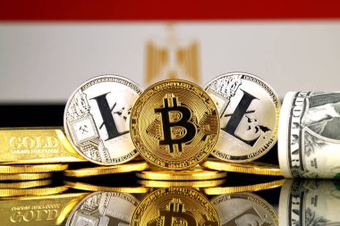 Bitcoin, Litecoin, altın, bize dolar ve Mısır bayrağı fiziksel sürümü. Cryptocurrency, altın ve dolar yatırımcılar için kavramsal görüntü.