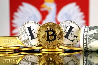 Bitcoin, Litecoin, altın, bize dolar ve Polonya bayrağı fiziksel sürümü. Cryptocurrency, altın ve dolar yatırımcılar için kavramsal görüntü.