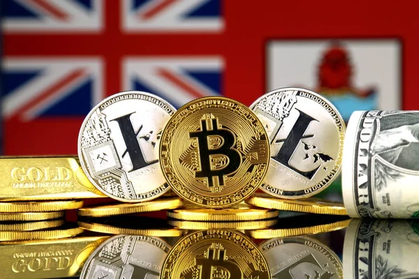 Physical Version Bitcoin Litecoin Gold Dollar Bermuda Flag Conceptual Image — Stock Photo, Image