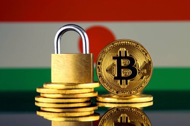Bitcoin, altın asma kilit ve Nijer bayrağı fiziksel sürümü. Cryptocurrencies, yönetmelikler, kısıtlamaları veya güvenlik, koruma, gizlilik yasaklanması.
