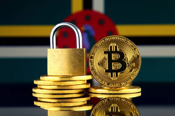 Bitcoin, altın asma kilit ve Dominika bayrağı fiziksel sürümü. Cryptocurrencies, yönetmelikler, kısıtlamaları veya güvenlik, koruma, gizlilik yasaklanması.