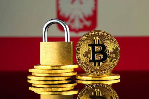 Bitcoin, altın asma kilit ve Polonya bayrağı fiziksel sürümü. Cryptocurrencies, yönetmelikler, kısıtlamaları veya güvenlik, koruma, gizlilik yasaklanması.