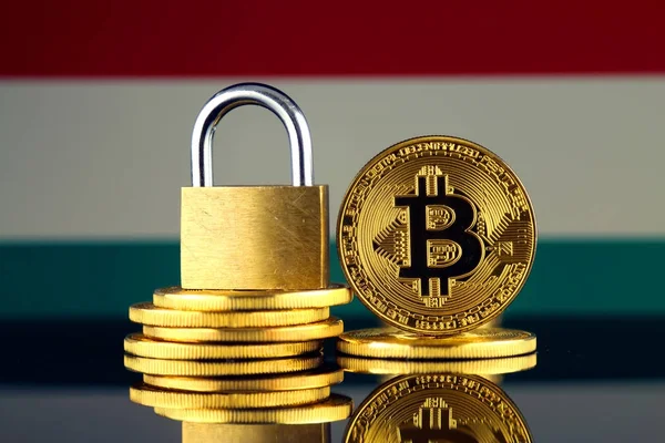 Bitcoin, altın asma kilit ve Macaristan bayrağı fiziksel sürümü. Cryptocurrencies, yönetmelikler, kısıtlamaları veya güvenlik, koruma, gizlilik yasaklanması.