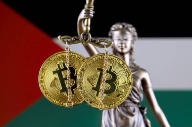 Hukuk ve adalet, fiziksel yorum-in Bitcoin ve Filistin bayrağı sembolü. Cryptocurrencies, yönetmelikler, kısıtlamaları veya güvenlik, koruma, gizlilik yasaklanması.
