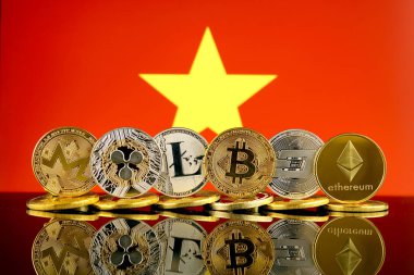 Fiziksel sürümü Cryptocurrencies (Monero, dalgalanma, Litecoin, Bitcoin, çizgi, Ethereum) ve Vietnam bayrağı.