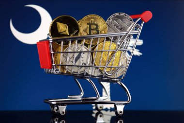 Alışveriş arabası Cryptocurrencies (Bitcoin, Litecoin, çizgi, Ethereum) ve Güney Carolina Devlet bayrağı fiziksel sürümü tam.