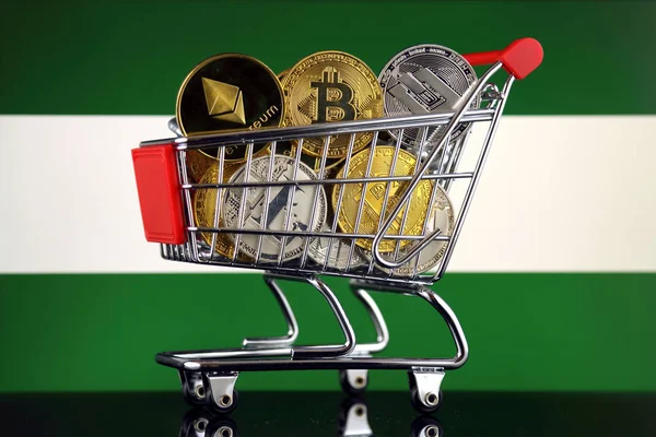 Winkelwagentje Vol Met Fysieke Versie Van Cryptocurrencies Bitcoin Litecoin Dash — Stockfoto