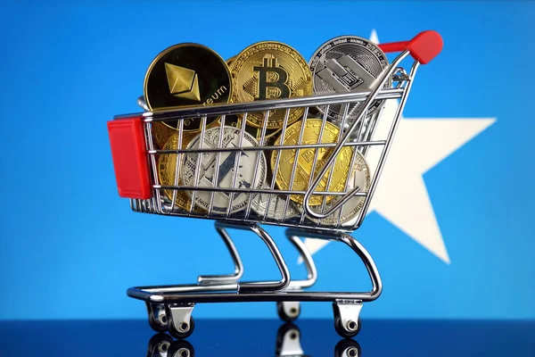 트롤리 Cryptocurrencies Bitcoin Litecoin 소말리아 국기의 버전의 — 스톡 사진