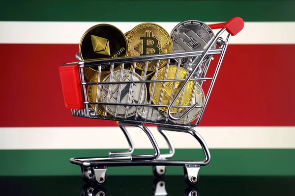 Carro Compras Lleno Versión Física Criptomonedas Bitcoin Litecoin Dash Ethereum — Foto de Stock