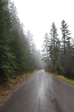 Polonya Yüksek Tatra Dağları 'ndaki Tatra Ulusal Parkı. Palenica Bialczanska 'dan Morskie Gölü' ne (Deniz Gölü 'nün Gözü) giden turistik patika, sabah sisi, Zakopane, Polonya, Avrupa.