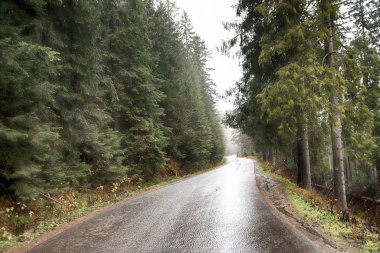 Polonya Yüksek Tatra Dağları 'ndaki Tatra Ulusal Parkı. Palenica Bialczanska 'dan Morskie Gölü' ne (Deniz Gölü 'nün Gözü) giden turistik patika, sabah sisi, Zakopane, Polonya, Avrupa.