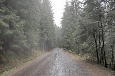 Polonya Yüksek Tatra Dağları 'ndaki Tatra Ulusal Parkı. Palenica Bialczanska 'dan Morskie Gölü' ne (Deniz Gölü 'nün Gözü) giden turistik patika, sabah sisi, Zakopane, Polonya, Avrupa.