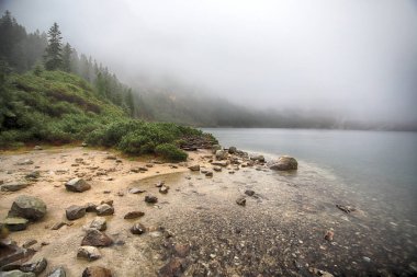 Polonya Yüksek Tatra Dağları 'ndaki Tatra Ulusal Parkı. Morskie Gölü (Deniz Gölü 'nün Gözü) sisli ve yağmurlu bir günde, Zakopane, Polonya, Avrupa.